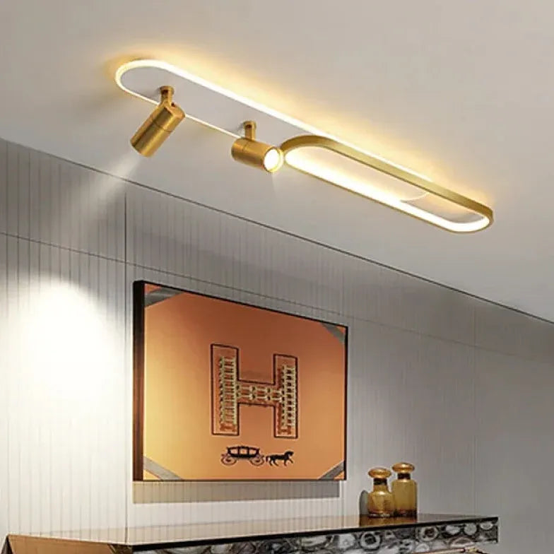 Spots led verlichting ovaal dimbaar afstandsbediening plafondlamp