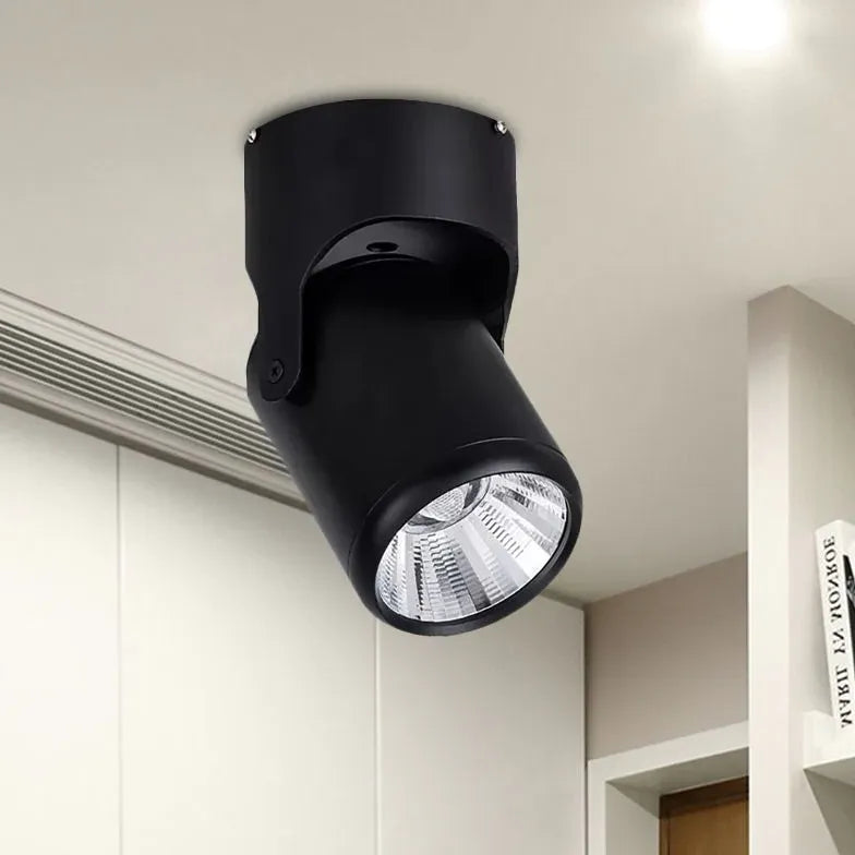 Plafonniere spots zwart verstelbaar schilderijverlichting