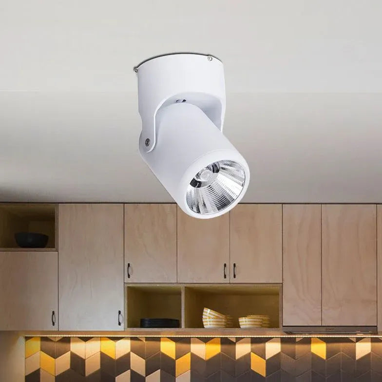 Plafonniere spots zwart verstelbaar schilderijverlichting