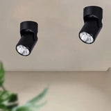 Plafonniere spots zwart verstelbaar schilderijverlichting