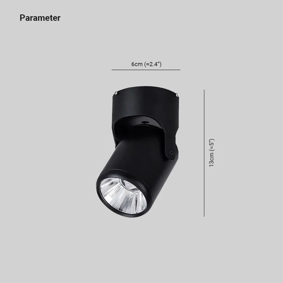 Plafonniere spots zwart verstelbaar schilderijverlichting
